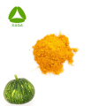 Organic Pumpkin Fruit Extract Powder 99%