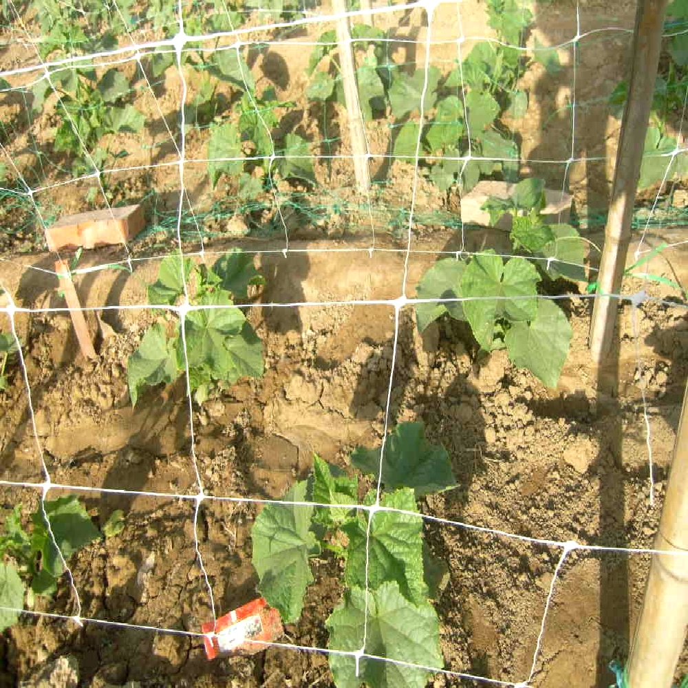 Garden Plastic Plant Stütznetz