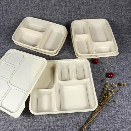 Z13 15%off eco friendly biodegradable food container