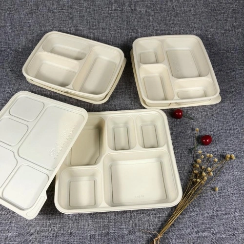 Z13 15%off eco friendly biodegradable food container China Manufacturer