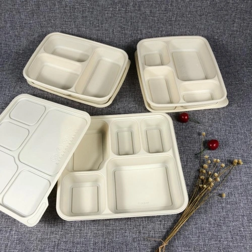 4 Compartment Biodegradable Disposable Bagasse Meal Tray In China