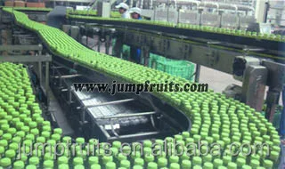 Grape juice production line