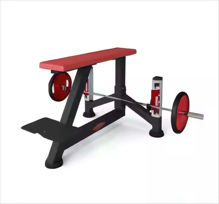 The Seal Row Bench Commercial Gym Equipment