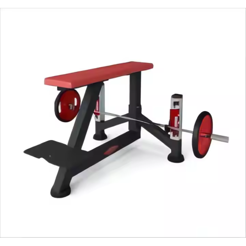 The Seal Row Bench Commercial Gym Equipment
