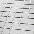 Welded Wire Mesh Rolls