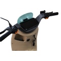 Pastel Green Electric Scooter with Retro Style
