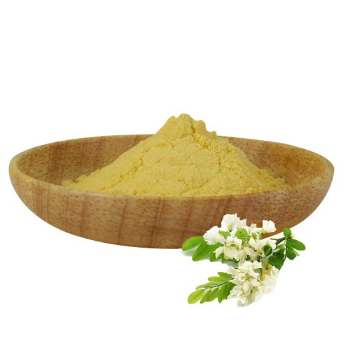 Sophora Japonica Flower Bud Extract รูตินสำหรับแคปซูล