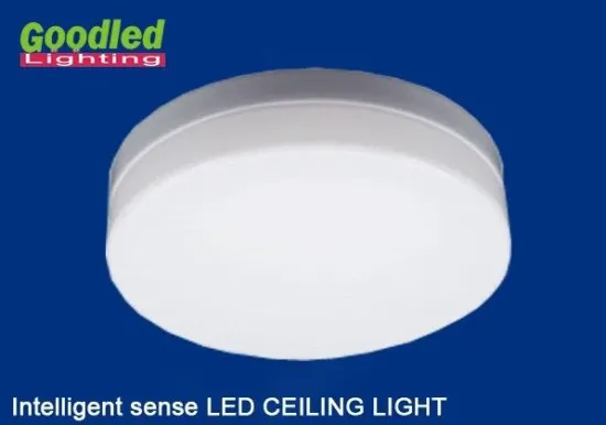 Intelligent Ourdoor 15w Dimmable Led Ceiling Lights Surface Mount 1000lm 240v