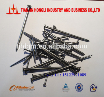 HOT SALE common nails/common iron wire nail/3 inch common nails
