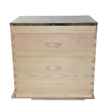 Wholesale Suppliers of Australian Beehives, Beekeeping Tools & New Zealand Pine Flat Boxes for Beekeepers