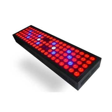 LED à spectre complet haute puissance 300W élèvent la lumière