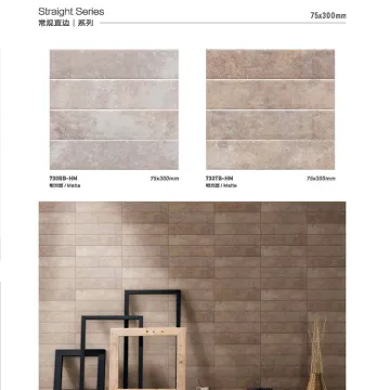 Hot Sale Ebro Ceramic Tiles 10x10cm Wall and Subway Tile