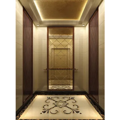 Hyundai Fuji Home Elevator for Sale Luxury Hotel Elevator Lift