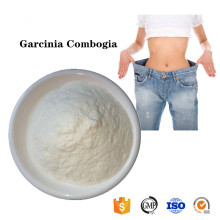 Factory price CAS6205-14-17 hydroxycitric ingredients powder