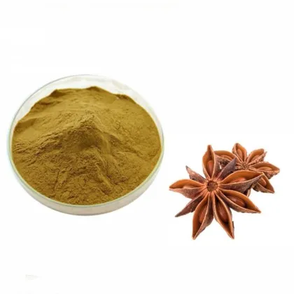 Natural Star Anise Extract Powder