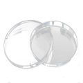 Laboratory Plastic Petri Dish Sterile dish mould