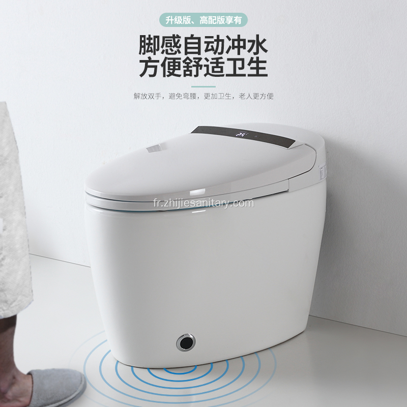 smart toilettes standard américain rinçage automatique
