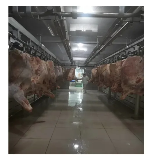 Fast Meat Defrosting Room with Humidification System for Frozen Chilled Beef Carcass