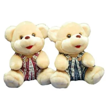 Plush Cute Teddy Bear