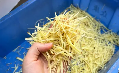 Ginger Slicer Machine Ginger Processing Machine