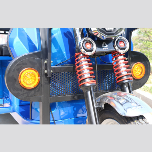 Family Use 2500w Electric Tricycles For Passenger