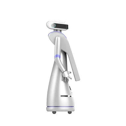 Intelligent Interactive Robot for Bank and Shopping Mall Consulting