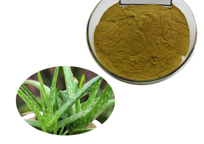 Aloe Vera Extract Png