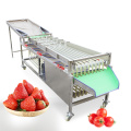 OEM Fruit Grading Machine Sorting Machine Price