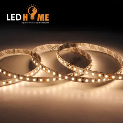 LEDHOME SMD 2835 120leds Waterproof Outdoor Light Strip - Ted Baker Bow Stripe 8mm/10mm Width