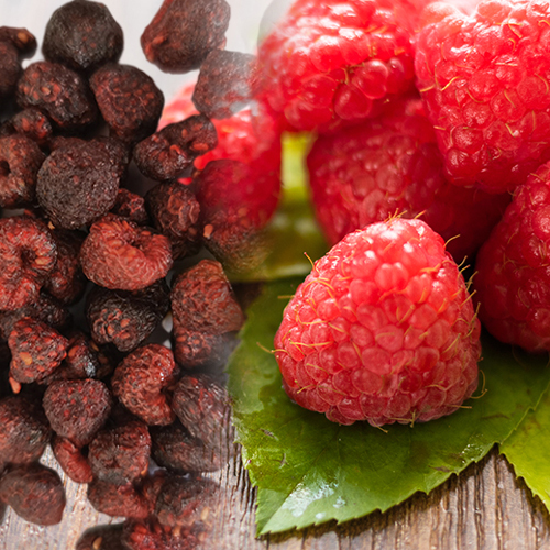 Kilang Kilang Makanan Sihat Dry Raspberry