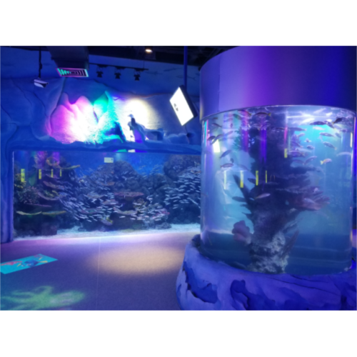 Grote aquariumvissentank voor restaurant