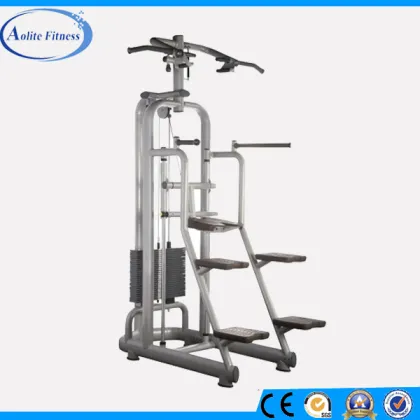 Fitness & Body Building/Gym Machine Names/Cybex Gym Equipment