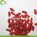 Factory Supply Fruit Gedroogd Pakket Goji Berry