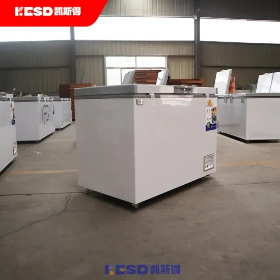 Top Open Double Door 321L Thick Foaming Deep Chest Freezer Refrigerator CE