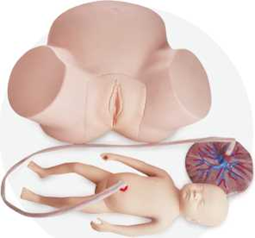 Midwifery Practice Model