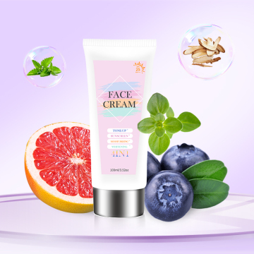 Private Label Tone Up Cream with SPF 25: UV Protect, Whitening, and Brightening CC Cream