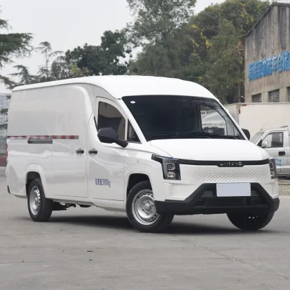 Lingshi Golden Warehouse Van
