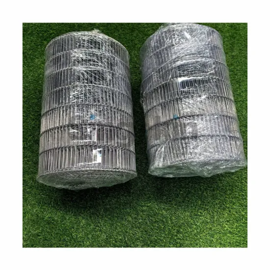 Food Grade Z Type Conveyor Belt System