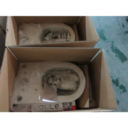 Smart WC Toilet: The Future of Sanitaryware