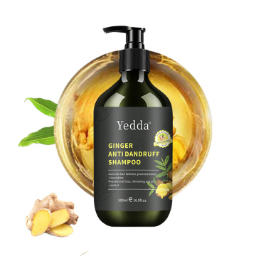 Shampoo e balsamo per capelli allo zenzero per la forfora e il controllo crespo
