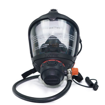 Full Face Mask (Wireless Version)