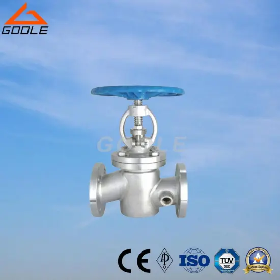 Steam Jacket Gate Valve (GABZ41W)
