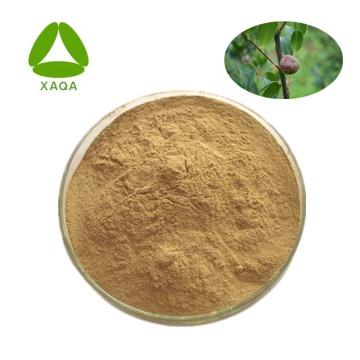 Tea tree zaad extract poeder saponine 30%-98%