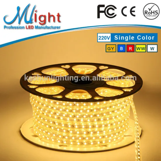 Waterproof IP65 5050 SMD LED Flexible Light Strip AC 220v