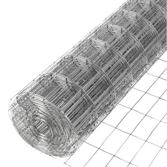 Electric Galvanized Welded Wire Mesh for Garden Fencing