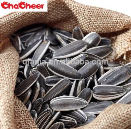 Sun flower seeds fresh 2015 crop