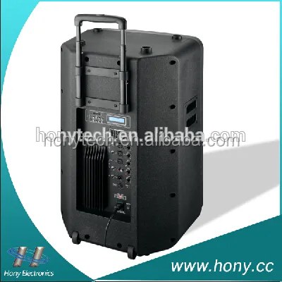 18 Inch Portable Trolley Speaker with Wireless Microphone and Speaker Box: Your Ultimate Audio Solution