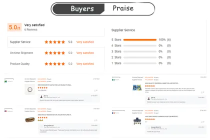 Scania L-P-G-R-S Series S/R 7 Truck Clutch Booster Parts - Wholesale