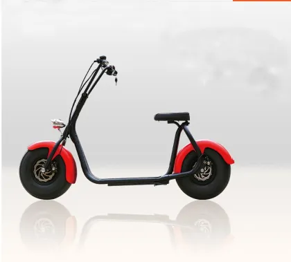 Electric Skateboard 800W New Design Fashion City Board