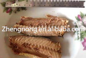 Low Price Brine Mackerel Seafood Canned Mackerel